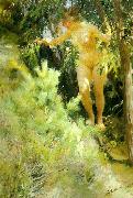 Anders Zorn naken under en gran oil